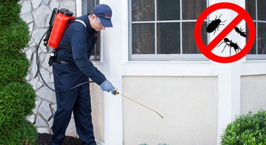 Yelki Gümüşkurt İlaçlama böcek ilaçlama ve haşere kontrolü — ilaclama-tr.com